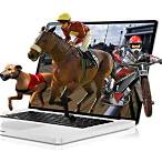 best way to bet on dog races